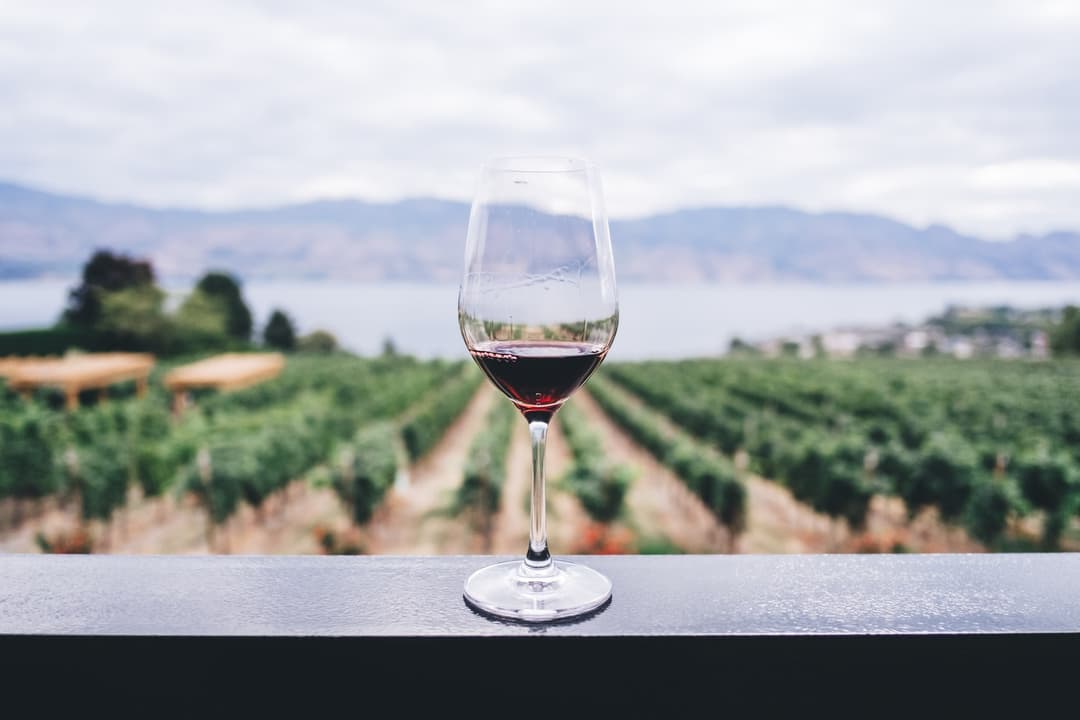 Wine Quality Modelling